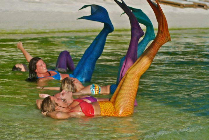 游泳學(xué)校教會你如何成為一個美人魚--置頂表情