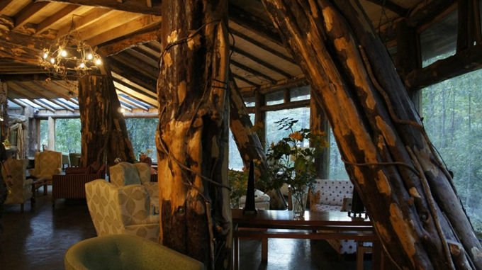 神奇的魔法木制酒店，童話森林里的城堡--置頂表情