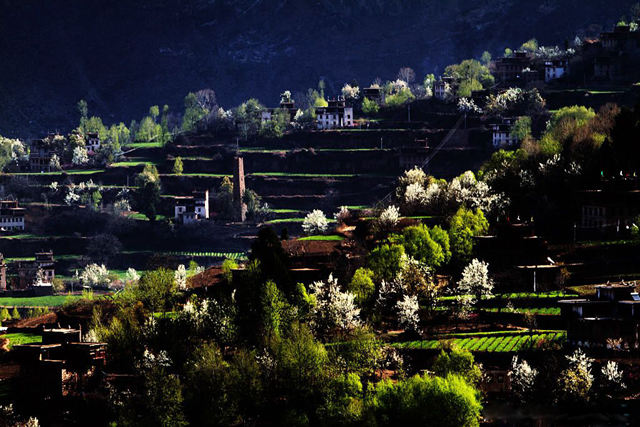 陶淵明筆下8個(gè)中國(guó)世外桃源，云南壩美真如桃花源--置頂表情