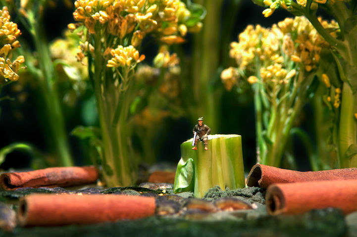 微距攝影的食物和人偶，每個都是不同的故事--置頂表情